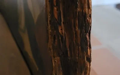 Combattre les croqueurs de patrimoine